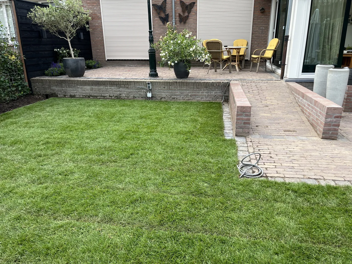Terras met gazon en sfeervolle beplanting