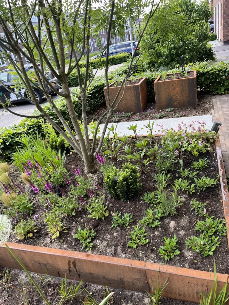 Cortenstaal border met lavendel en vaste planten