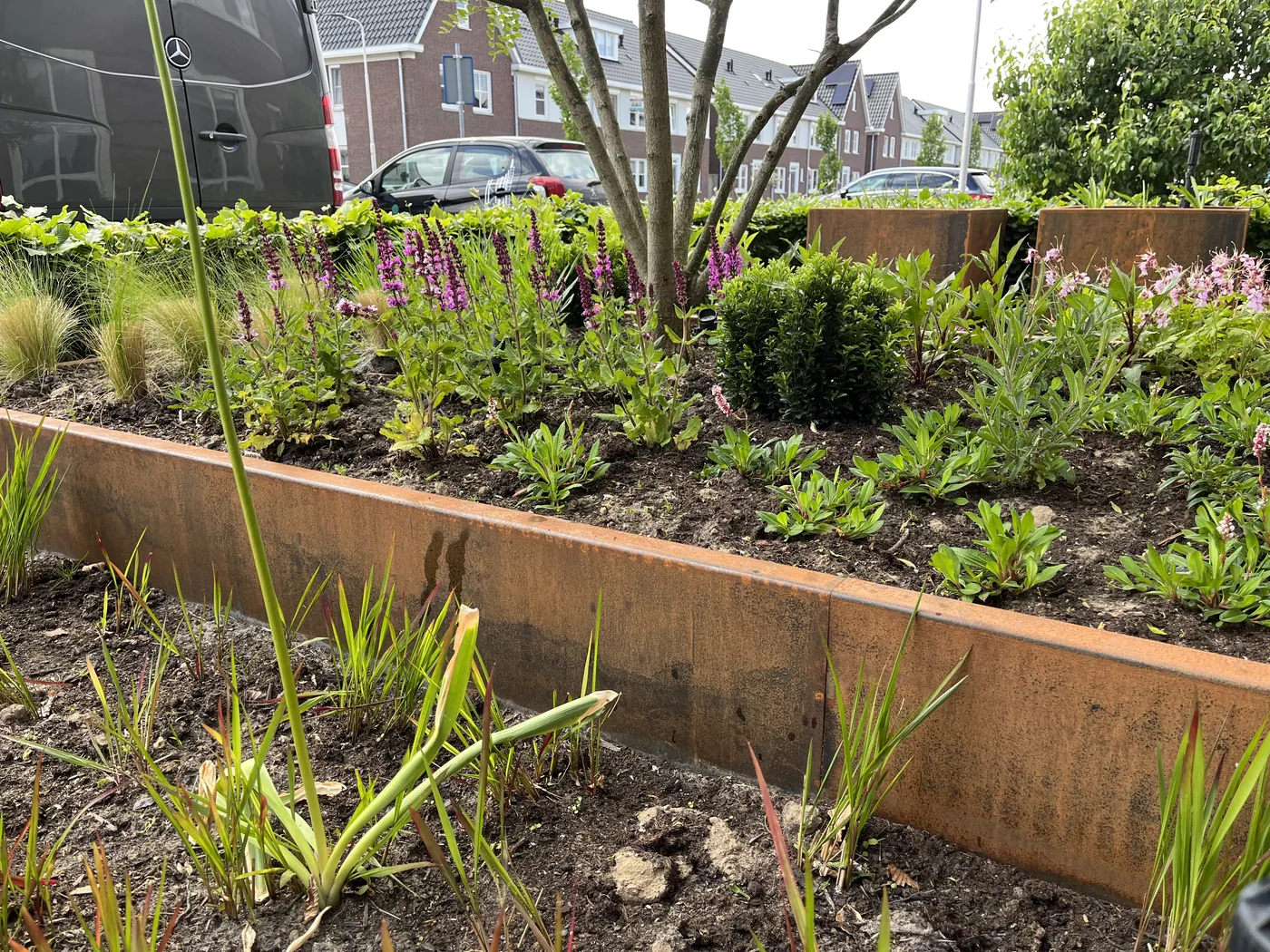 Cortenstaal border met vaste planten en siergrassen