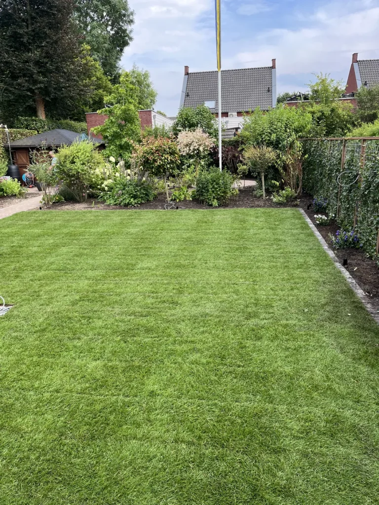 Weelderig groen gazon met haag