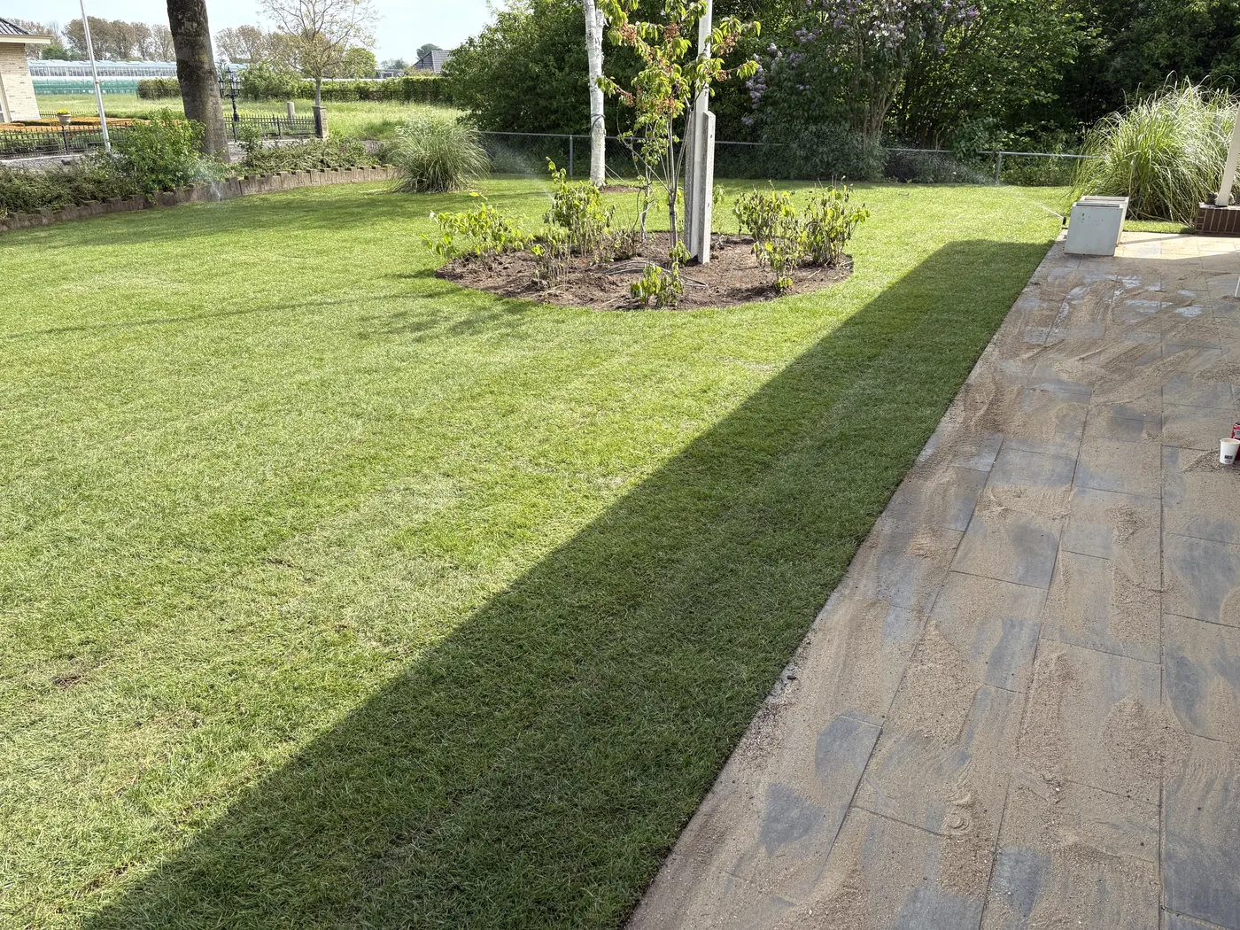 Nieuw aangelegd gazon met border en houten pad