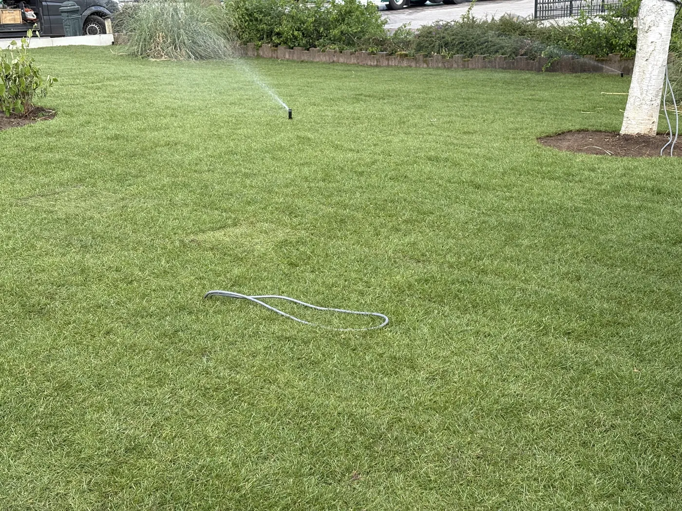 Fris gazon met automatische beregening