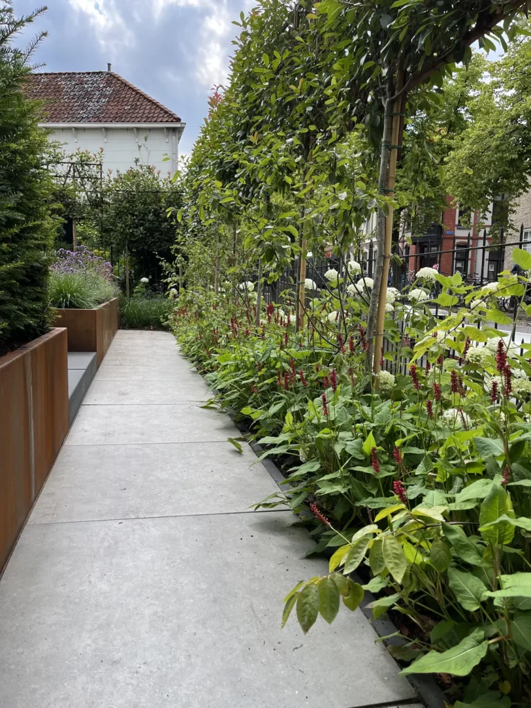 Bestraat pad met nieuwe border