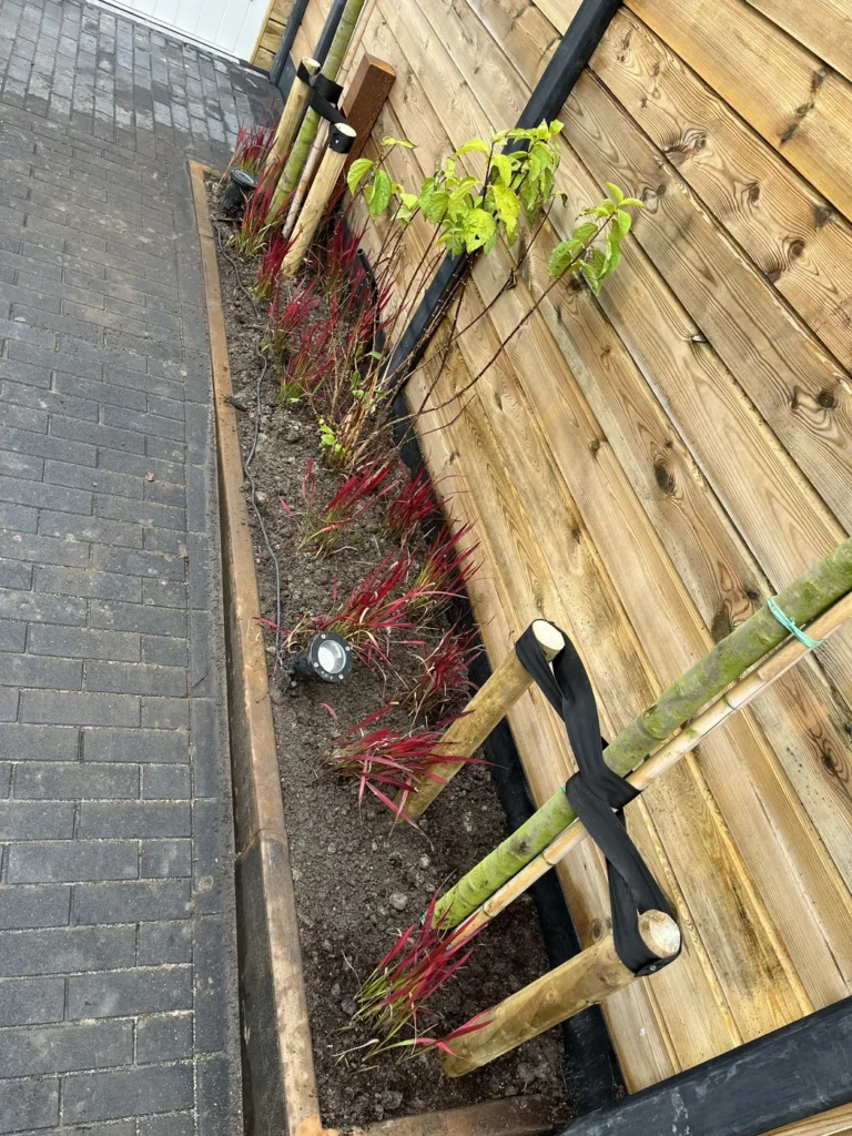 Detail van bestrating en beplanting