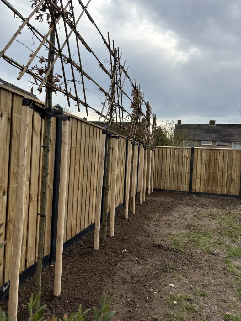Houten schutting met leibomen