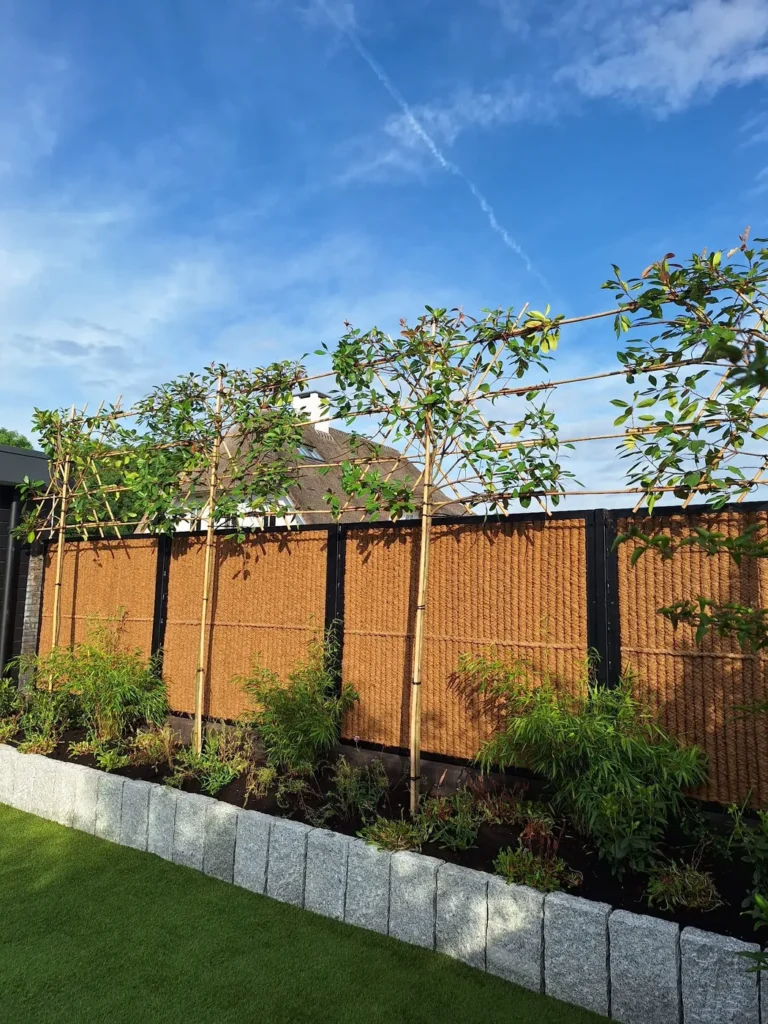 Onderhoudsarme tuin met schutting en border
