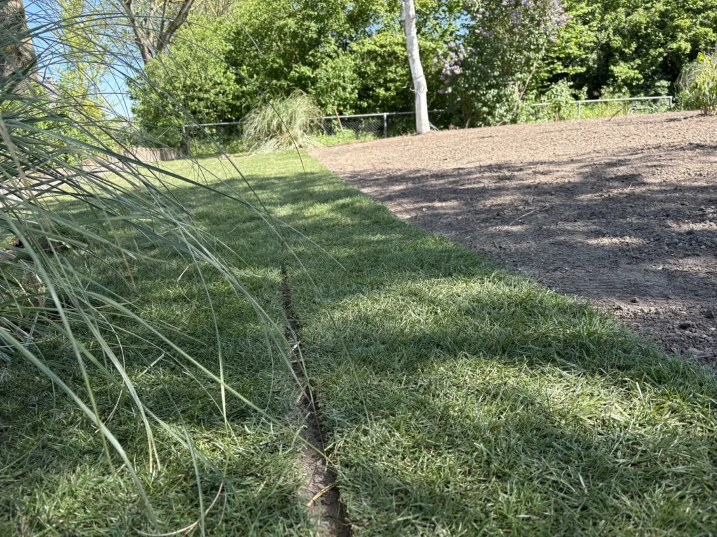 Aangelegd talud met beplanting