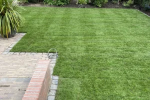 Strak onderhouden gazon door Out-living