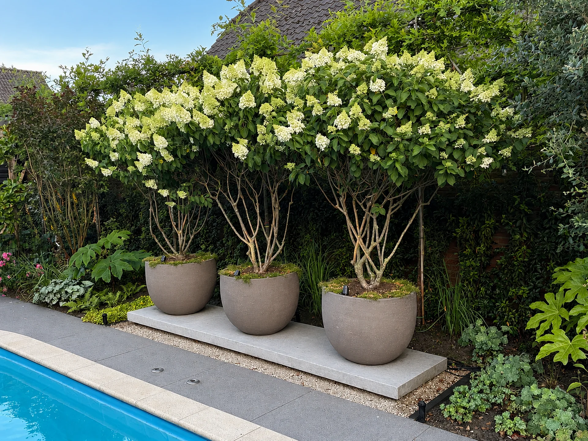 Verzorgde tuin met gazon en zwembad aangelegd door Out-living