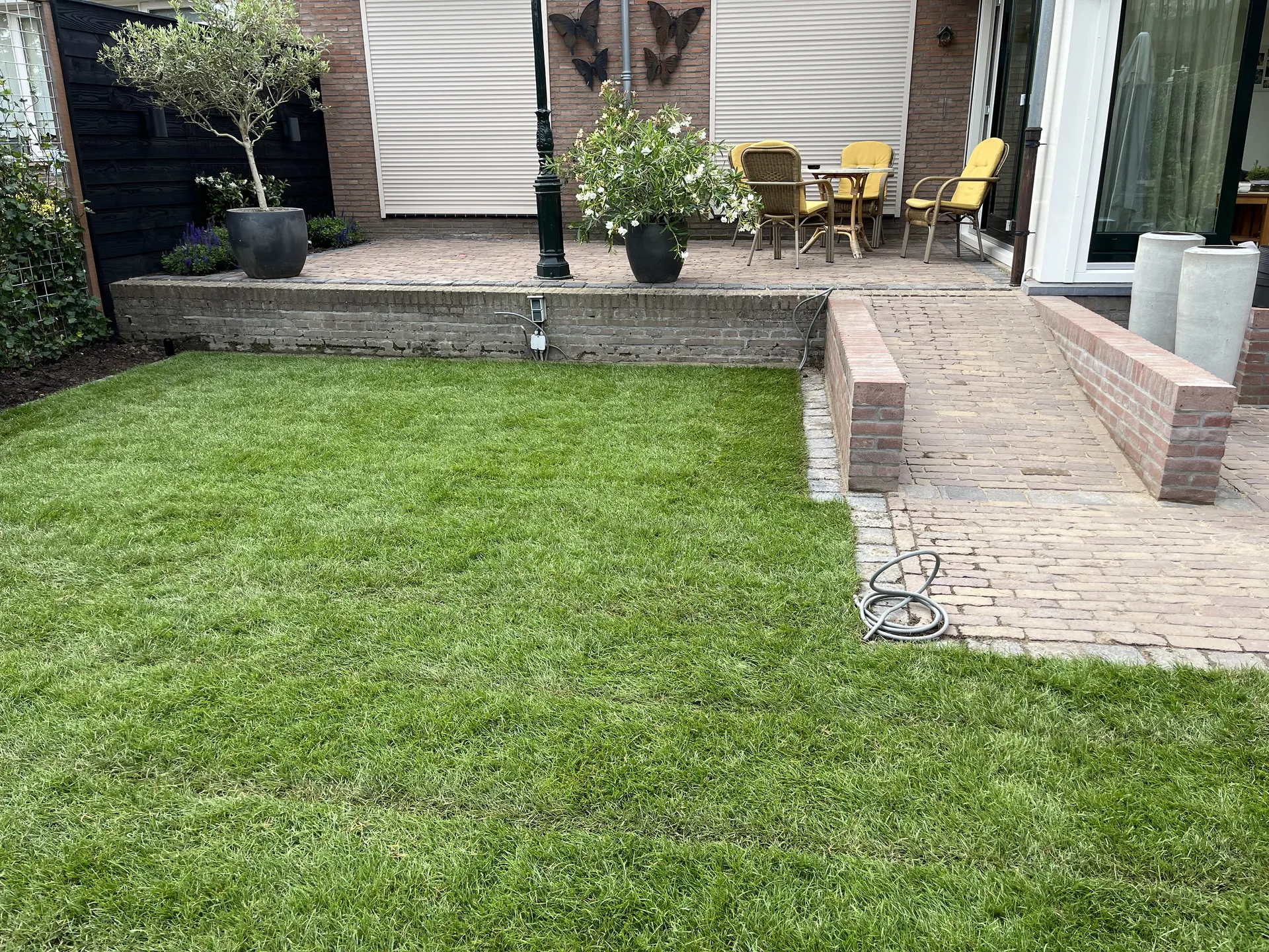 Aanleg van bestrating en borders in een tuin